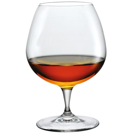 ΠΟΤΗΡΙ PREMIUM COGNAC 64,5CL Ø10,8CM Y16,2CM BORMIOLI ROCCO 