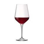 ΠΟΤΗΡΙ PREMIUM N.14 44CL Ø8,7CM Y21,6CM BORMIOLI ROCCO 