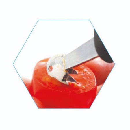 ΔΙΑΚΟΡΕΥΤΗΣ ΝΤΟΜΑΤΑΣ CUTLERY PRO 