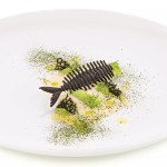 ΚΑΛΟΥΠΙ ΣΙΛΙΚΟΝΗΣ ΨΑΡΟΚΟΚΚΑΛΟ 16x4ML ΜΕΓΕΘΟΣ 10,4x3,5x4CM, 30X18CM LISCA4 SILIKOMART