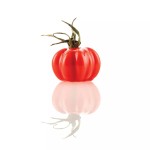 ΚΑΛΟΥΠΙ ΣΙΛΙΚΟΝΗΣ NTOMATA 12x24ML ΜΕΓΕΘΟΣ Ø10,4x2,8CM, 30X18CM POMODORO SILIKOMART 