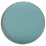 ΠΙΑΤΟ ΕΠΙΠΕΔΟ LIGHT BLUE 21 CM
