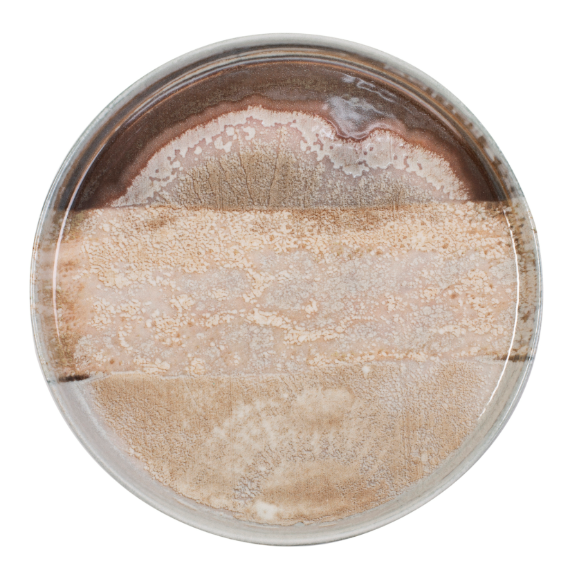 ΠΙΑΤΟ ΕΠΙΠΕΔΟ FLAT NATURA 27 CM NEW BONE CHINA 