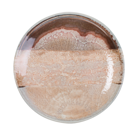 ΠΙΑΤΟ ΡΗΧΟ NATURA 30 CM NEW BONE CHINA 