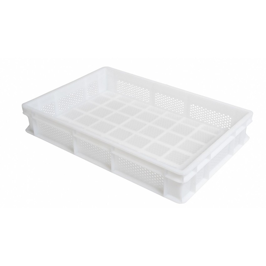 ΚΑΛΑΘΙ 60x40x10CM ΔΙΑΤΡΗΤΟ ΙΤΑΛΙΑΣ